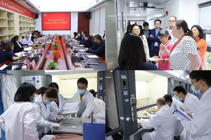 1763136598334132.png image.png